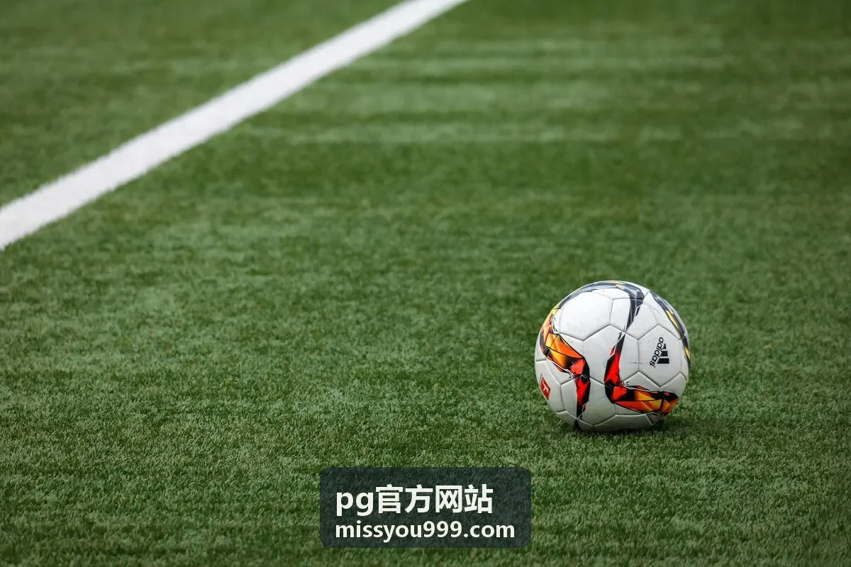 pg官方网站热度榜单查询方式